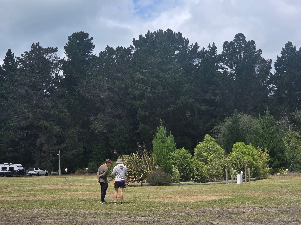 Creators on the open field at Spencer Park with forest behind.